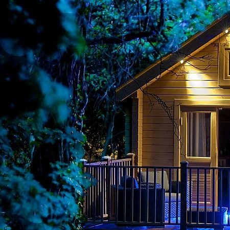Alum Chine Log Cabin Villa Bournemouth Exteriör bild
